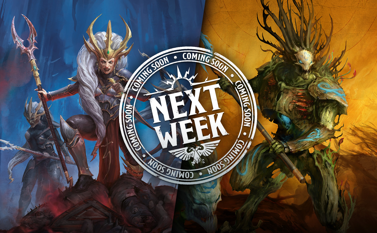 本周預購新品－鮮血與荊棘的戰士